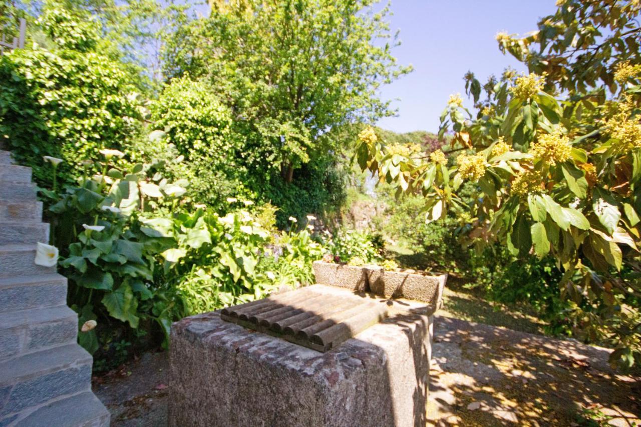 Monolocale Fattorialmare Viola Apartment Camogli Exterior photo
